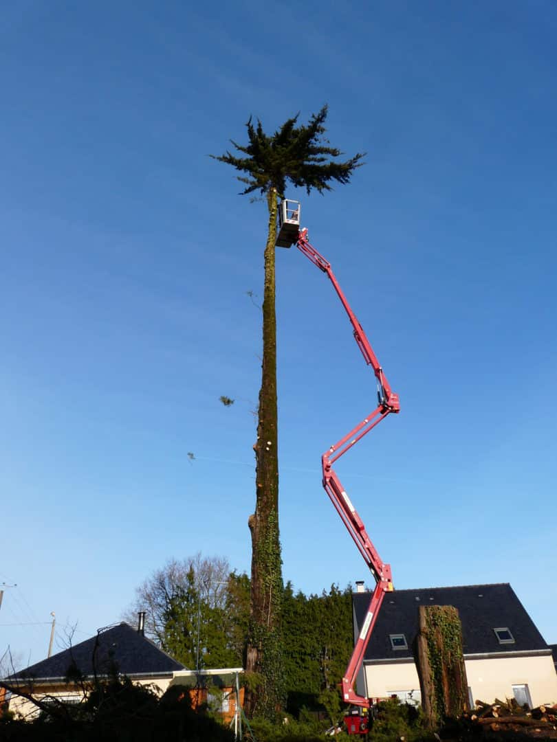 demontage cupressus meriadec - Accueil