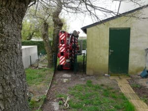 Démontage d’un épicéa Auray