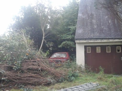Remise état terrain Pluneret après
