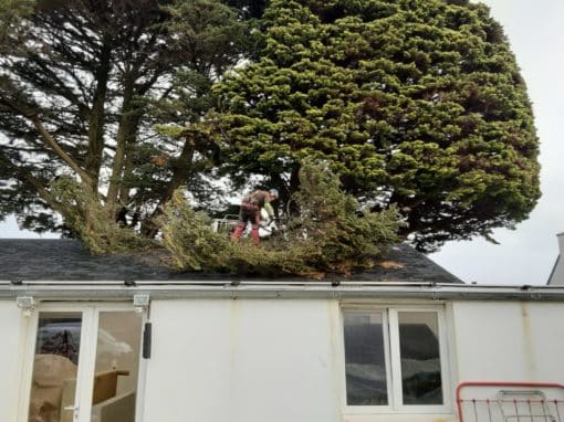 Elagage intervention urgence branche sur toiture suite tempête Quiberon (1)
