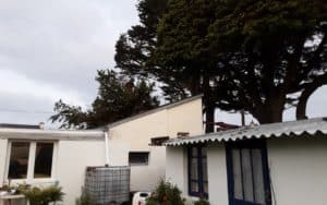 Elagage intervention urgence branche sur toiture suite tempête Quiberon (3)