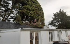 Elagage intervention urgence branche sur toiture suite tempête Quiberon (4)