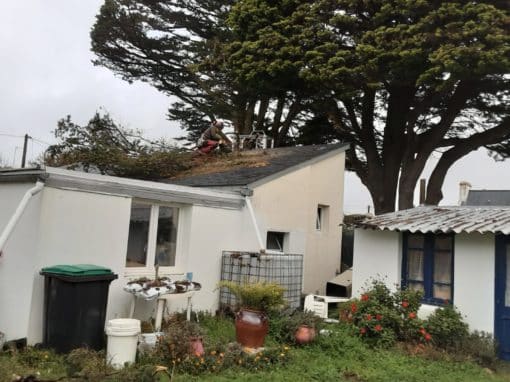 Elagage intervention urgence branche sur toiture suite tempête Quiberon (1)