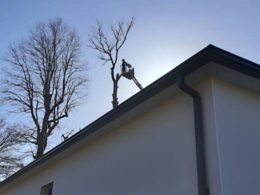 Démontage arbre sur piscine proche habitation Pluneret 1