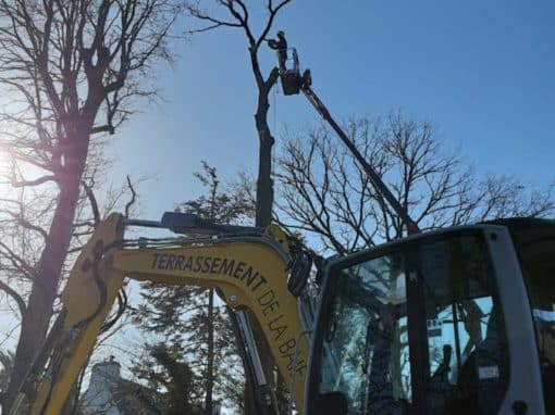 Démontage arbre sur piscine proche habitation Pluneret 1