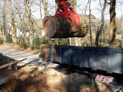 Démontage arbre sur piscine proche habitation Pluneret 1