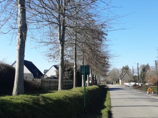 Remontée de couronne bord départementale passage véhicules hauts Pluneret (1)