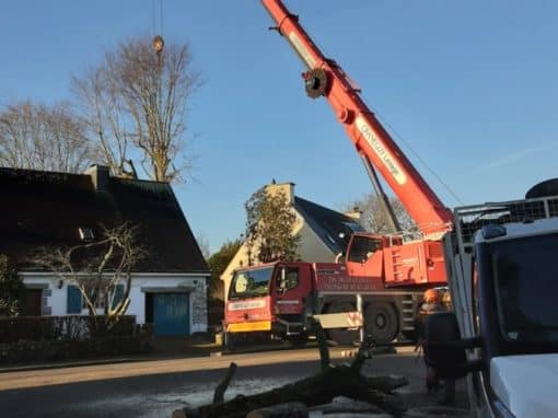Démontage d’un hêtre sur habitation avec grue de levage Auray (1)