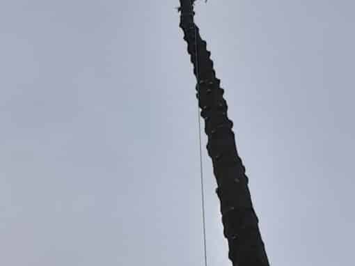 Démontage épicéa menaçant suite tempête Sainte-Anne d’Auray (4)