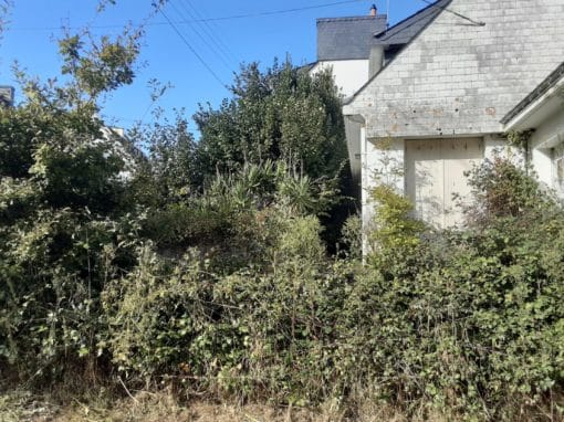 Remise en état de terrain Auray (9)