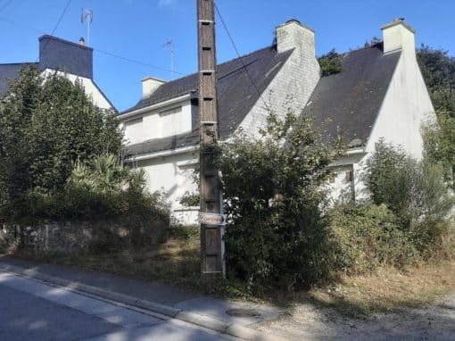 Remise en état de terrain Auray (9)