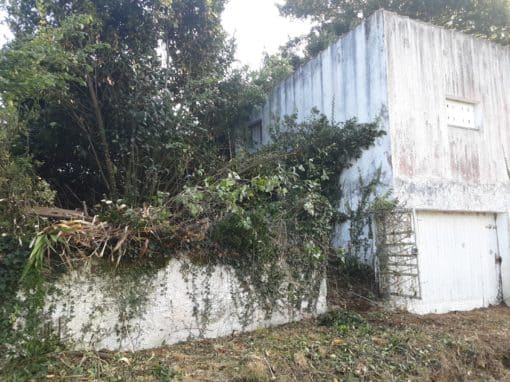 Remise en état de terrain Auray (9)
