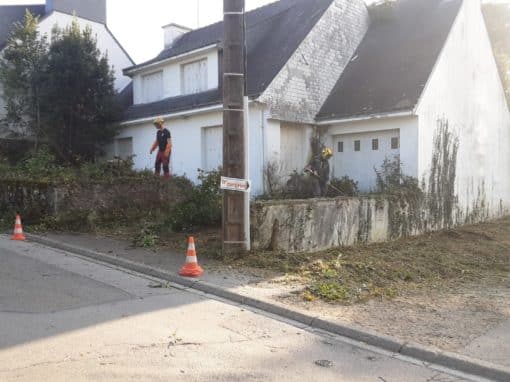 Remise en état de terrain Auray (9)