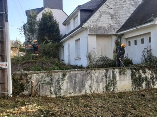 Remise en état de terrain Auray (9)