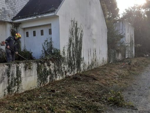 Remise en état de terrain Auray (9)
