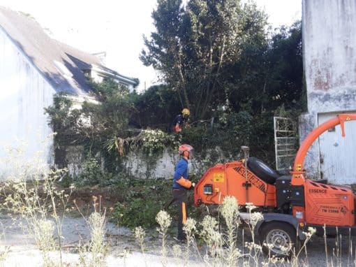 Remise en état de terrain Auray (9)
