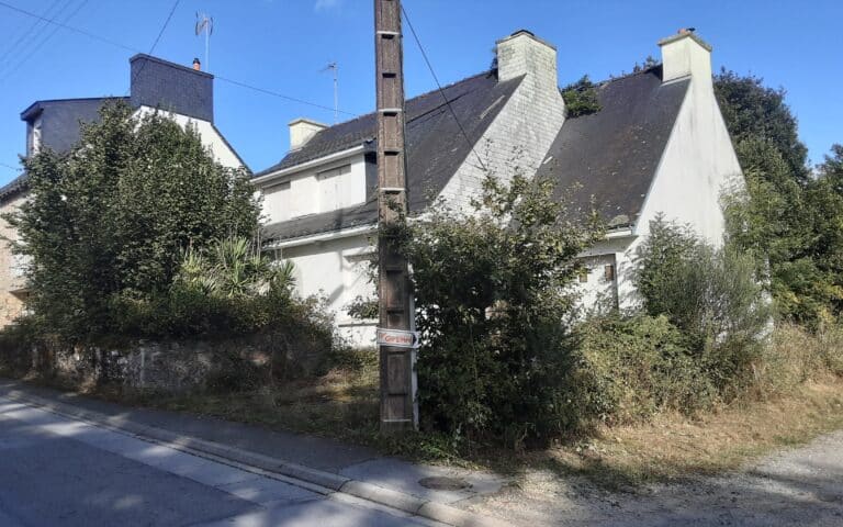 Remise-en-etat-de-terrain-Auray-2.jpg