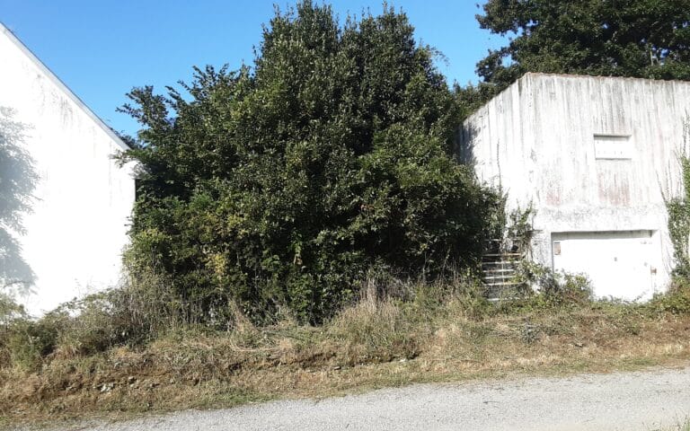 Remise-en-etat-de-terrain-Auray-3.jpg