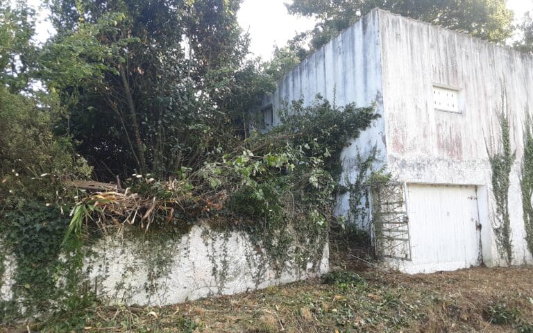 Remise-en-etat-de-terrain-Auray-4.jpg