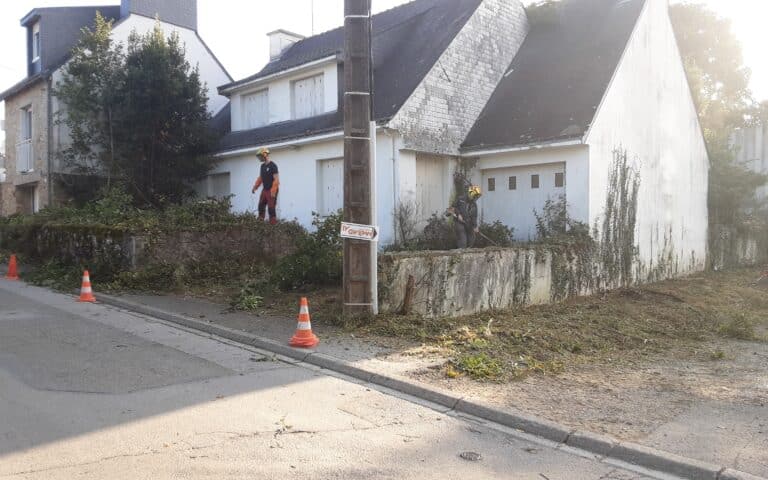 Remise-en-etat-de-terrain-Auray-5.jpg