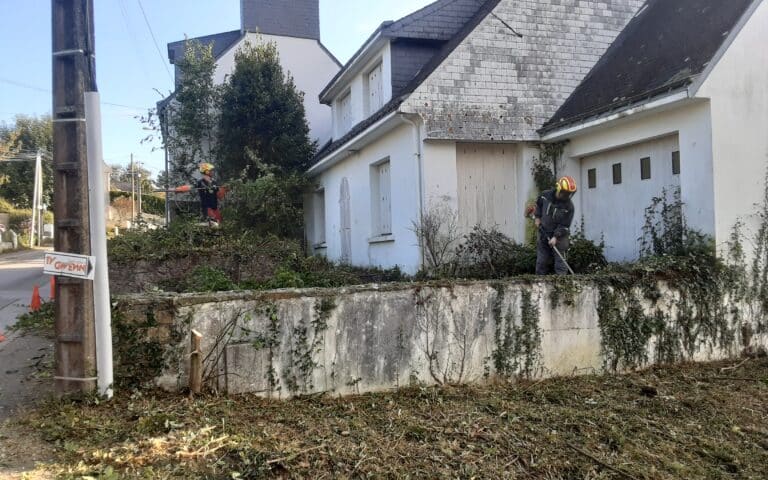 Remise-en-etat-de-terrain-Auray-6.jpg