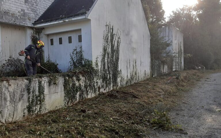 Remise-en-etat-de-terrain-Auray-7.jpg