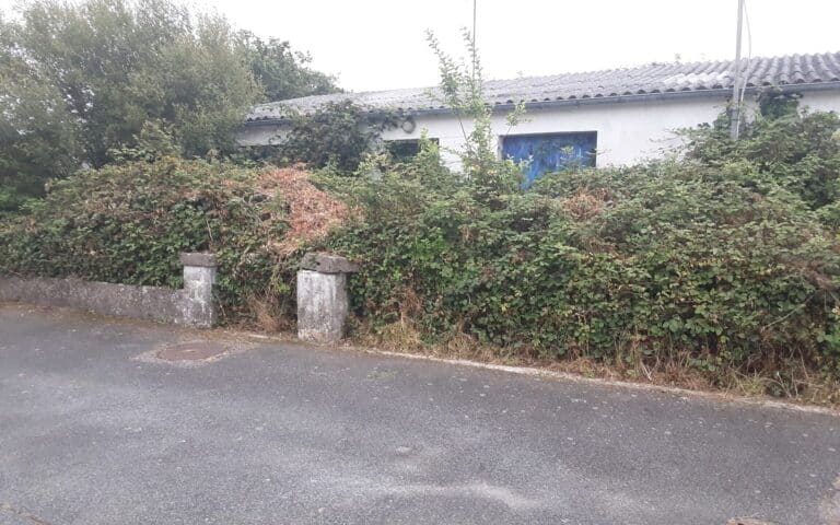 Remise en état de terrain avant après Brech