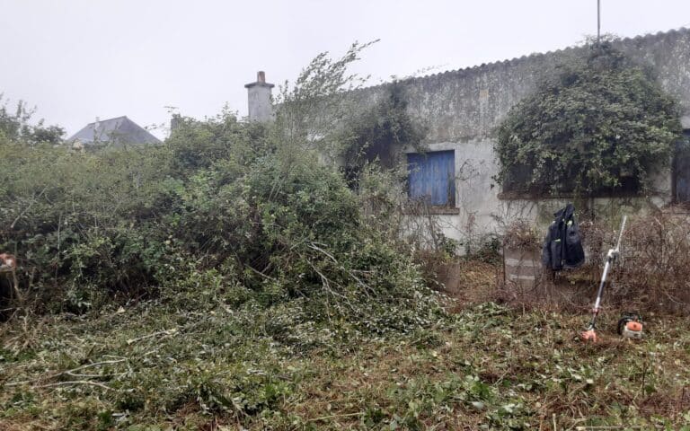 Remise en état de terrain avant après Brech