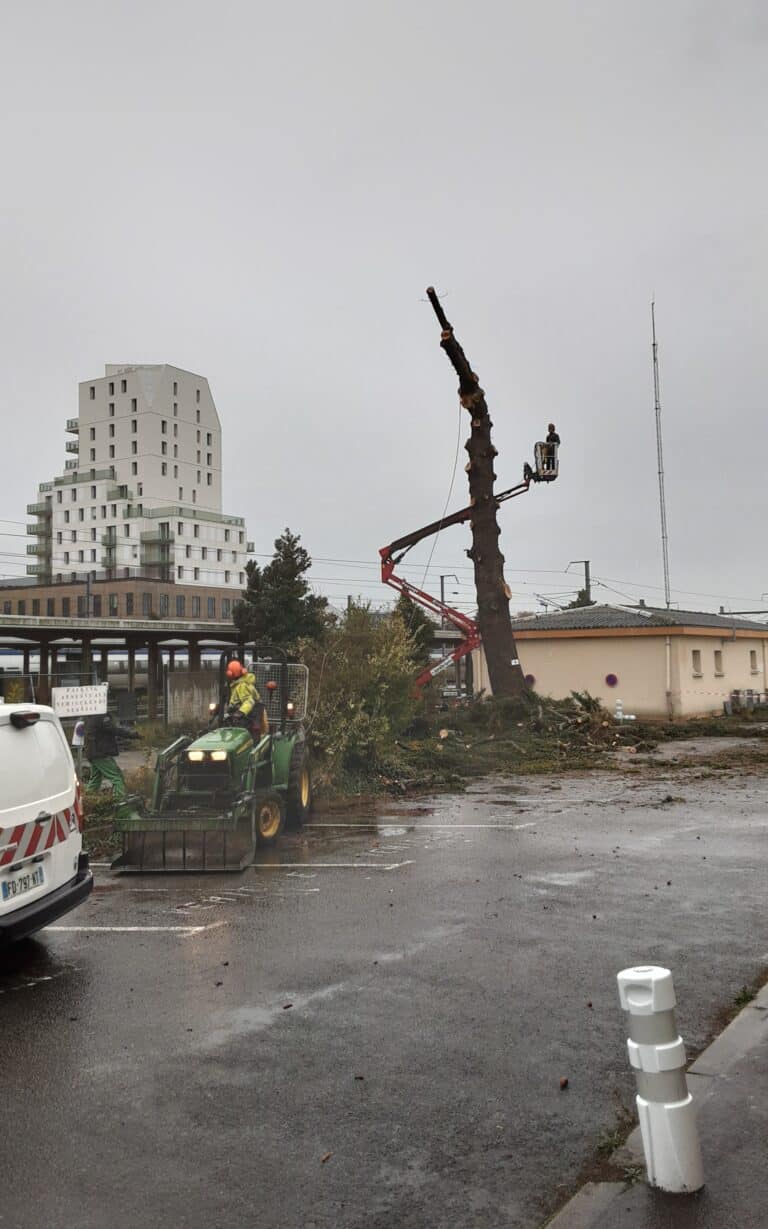 Abattage-dun-cedre-sncf-Lorient-7.jpg
