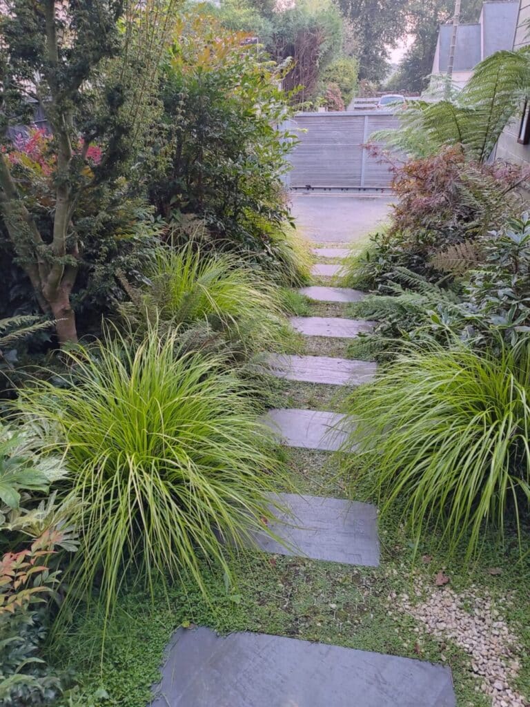Aménagement paysager allée clôtures plantations Auray (5)