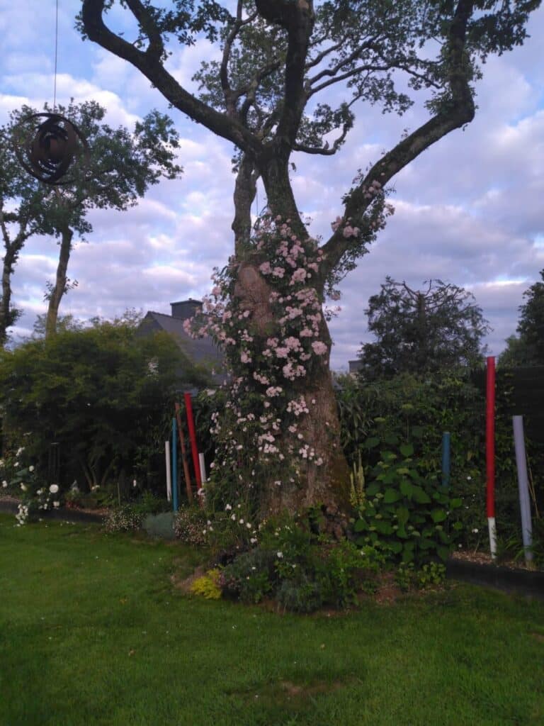 Création paysagère Auray (2)
