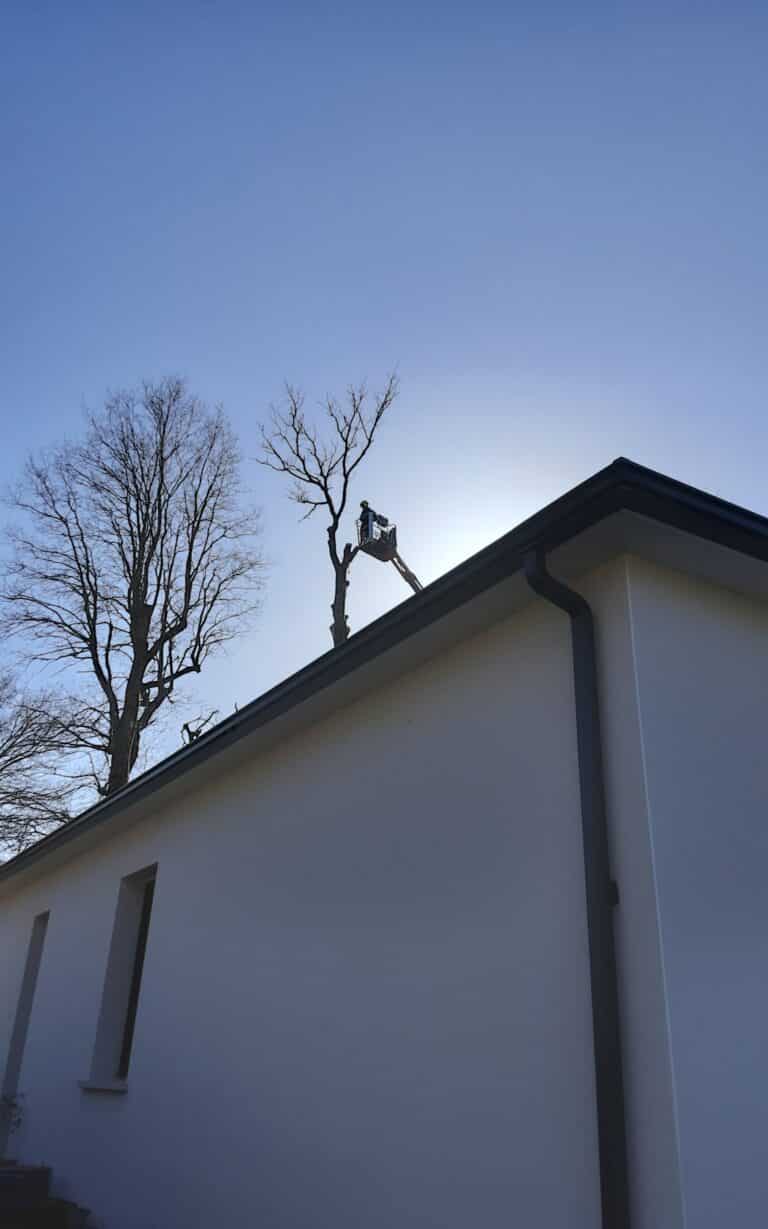 Demontage arbre sur piscine proche habitation Pluneret 1 - Auray Vannes