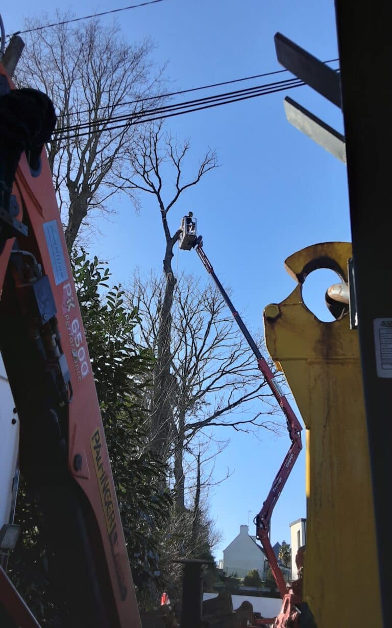 Demontage-arbre-sur-piscine-proche-habitation-Pluneret-2.jpg