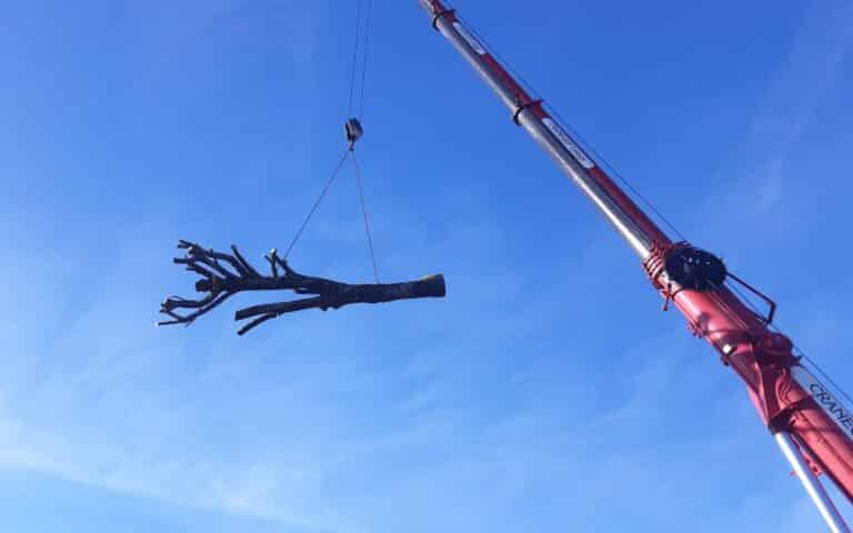 Demontage dun hetre sur habitation avec grue de levage Auray 1 - Auray Vannes