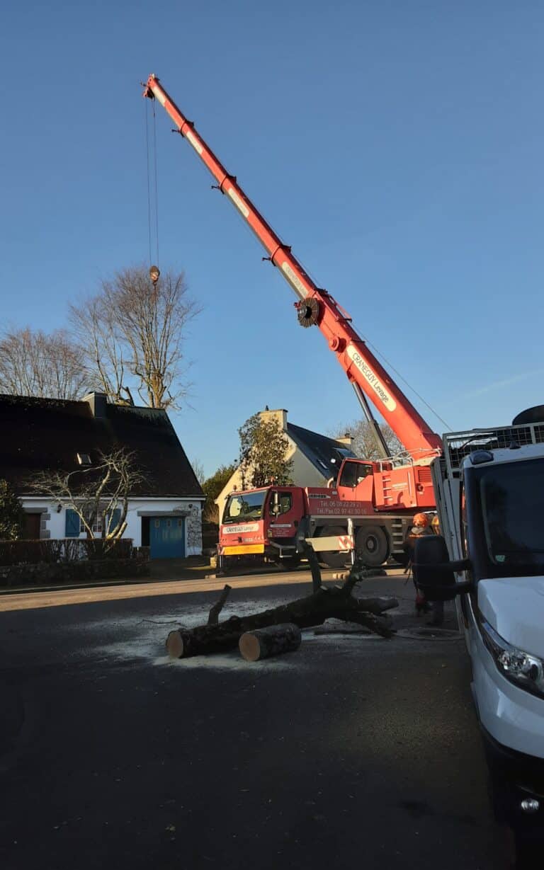 Demontage-dun-hetre-sur-habitation-avec-grue-de-levage-Auray-2.jpg