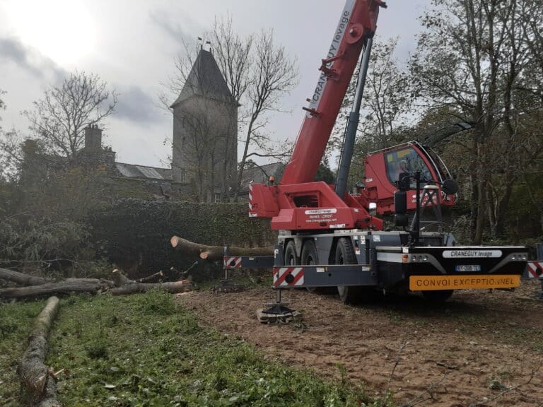 Deracinement-suite-tempete-Carnac-4.jpg
