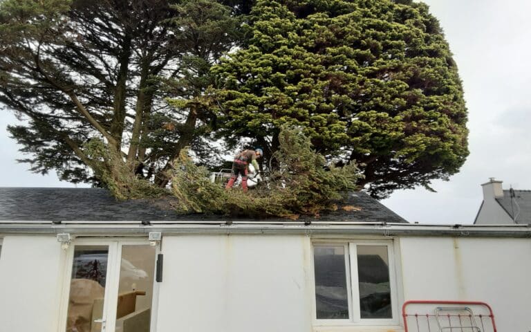 Elagage intervention urgence branche sur toiture suite tempete Quiberon 1 - Auray Vannes