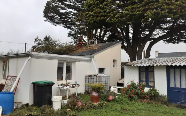 Elagage-intervention-urgence-branche-sur-toiture-suite-tempete-Quiberon-2.jpg