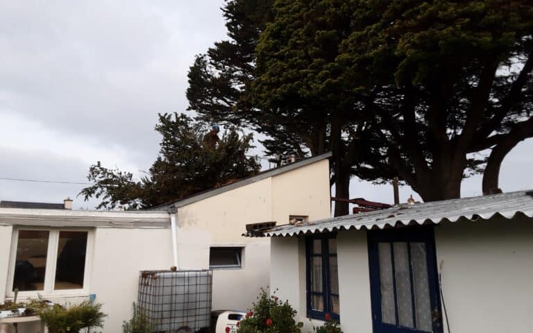 Elagage-intervention-urgence-branche-sur-toiture-suite-tempete-Quiberon-3.jpg