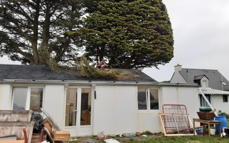 Elagage-intervention-urgence-branche-sur-toiture-suite-tempete-Quiberon-5.jpg