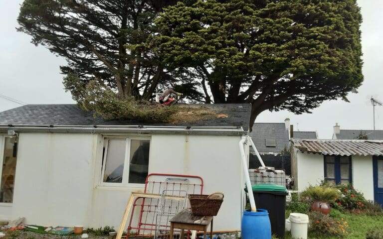 Elagage-intervention-urgence-branche-sur-toiture-suite-tempete-Quiberon-6.jpg