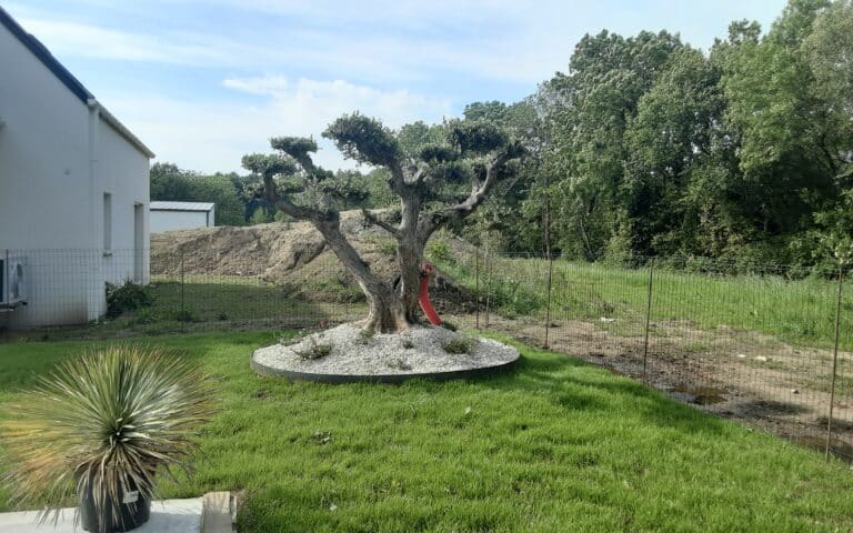 Plantation-engazonnement-gros-sujets-Brech-2.jpg