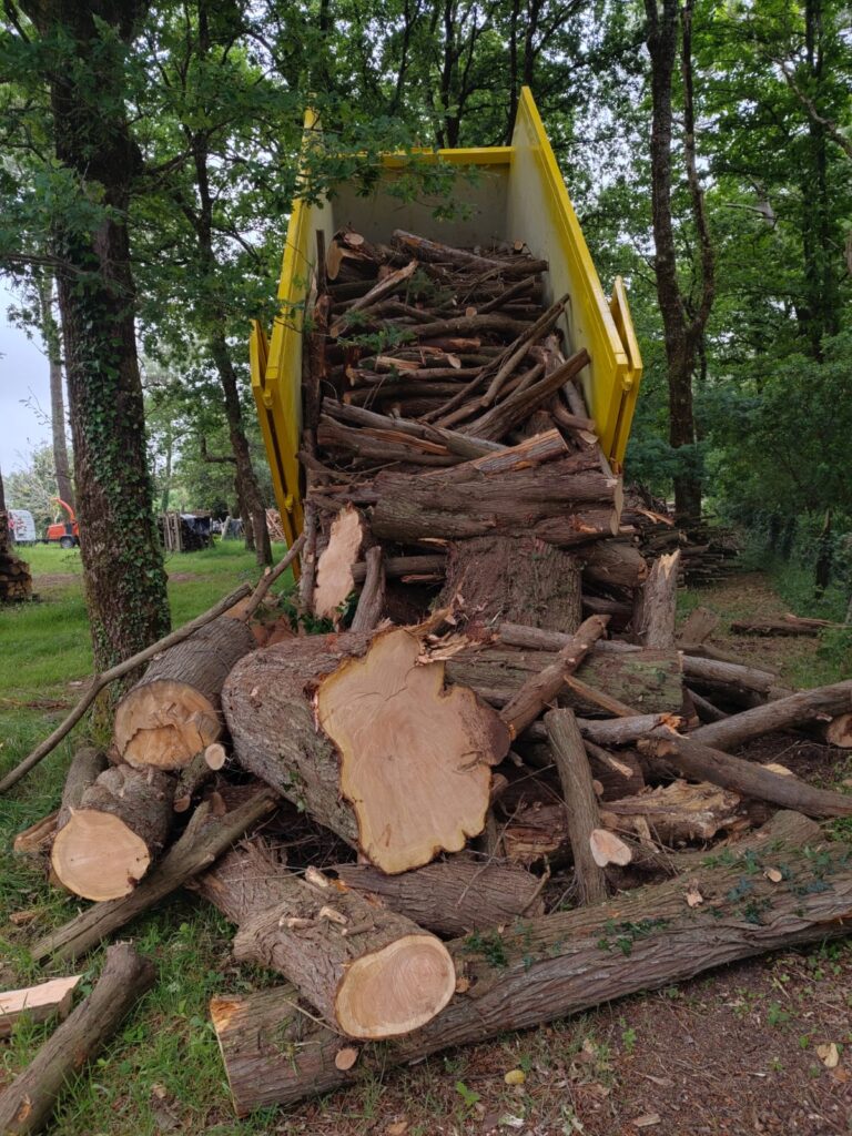 Prise-en-charge-evacuation-avec-retraitement-bois-Sene-1.jpeg