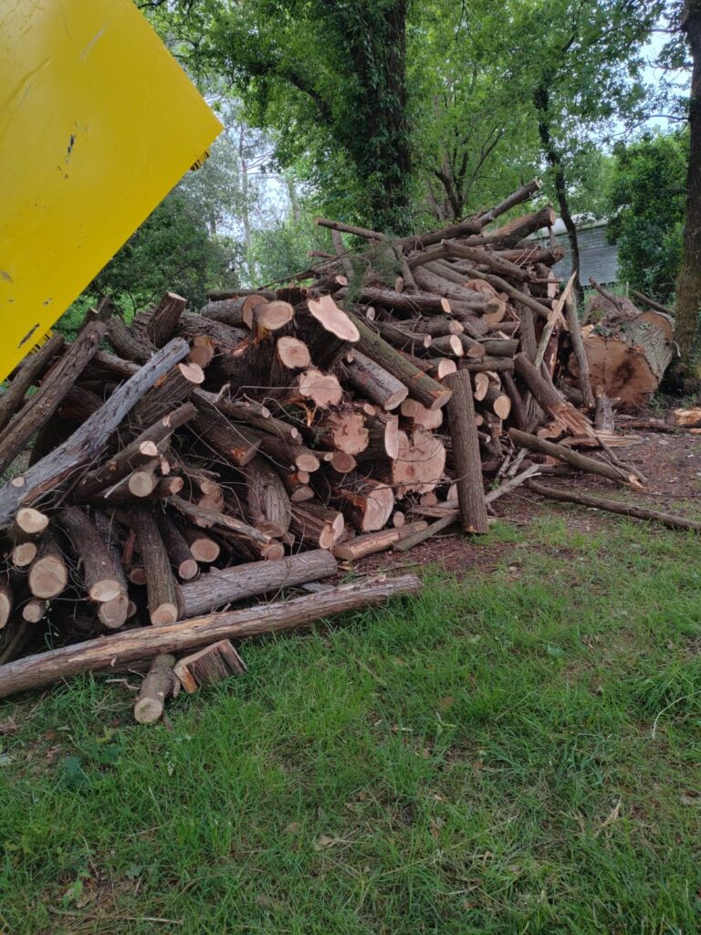 Prise-en-charge-evacuation-avec-retraitement-bois-Sene-2.jpeg