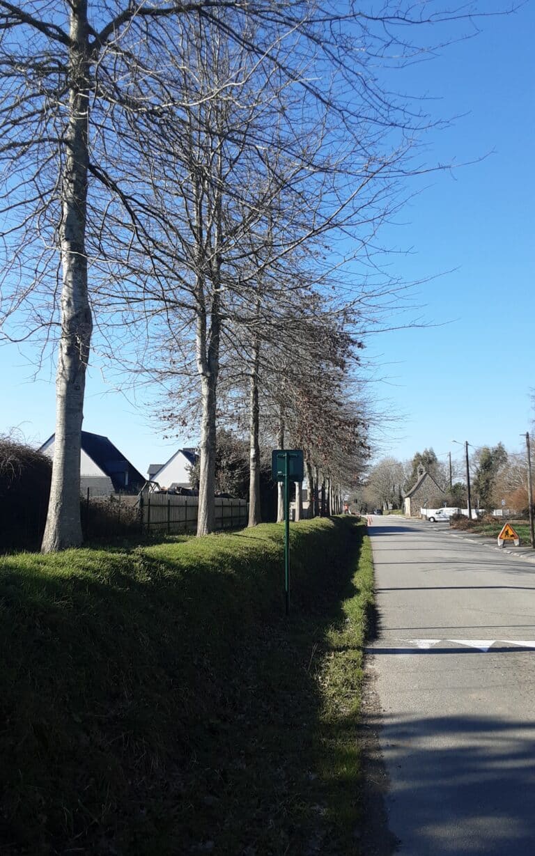 Remontee de couronne bord departementale passage vehicules hauts Pluneret 1 - Auray Vannes