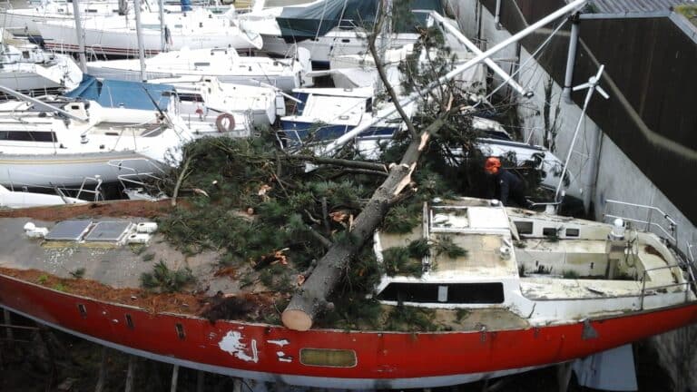 intervention-en-urgence-arbre-couche-sur-bateau-baden.jpg