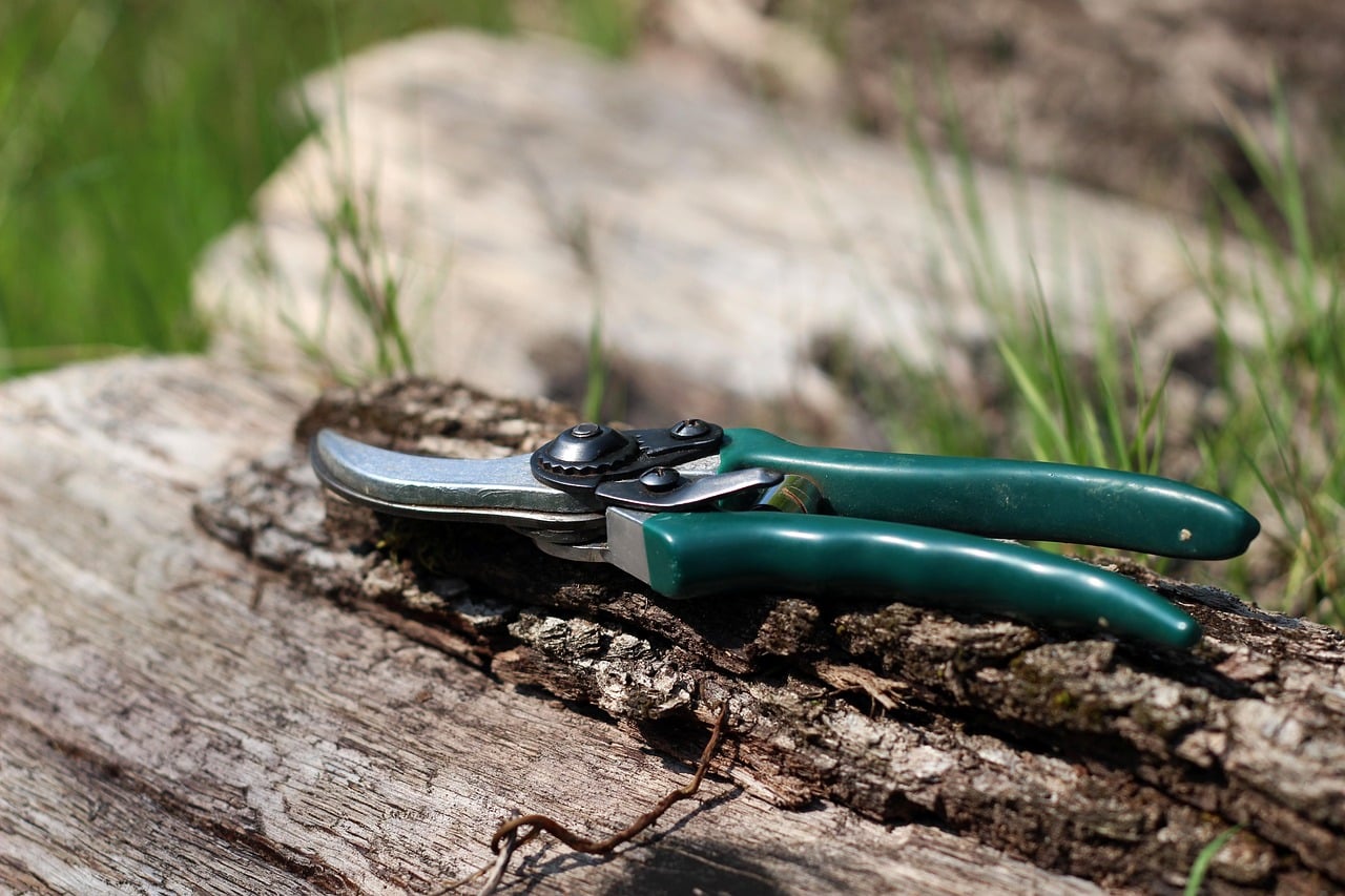 Ciseaux de jardinage sur un tronc, représentant les outils utilisés pour l'élagage et l'entretien paysager.